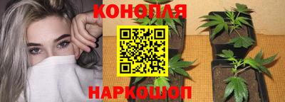 тгк Славянск-на-Кубани