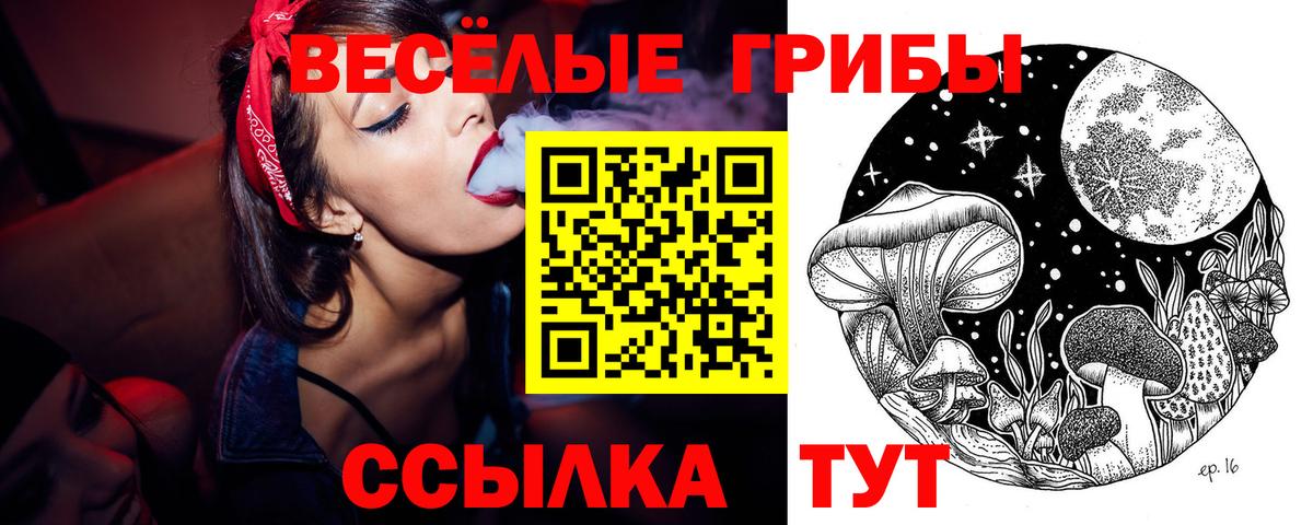 Осинники  Псилоцибиновые грибы Psilocybine cubensis  Вход с VPN 